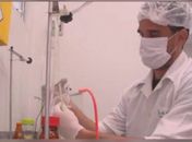 Agosto dourado: farmacêutico analisa leite doado para atingir padrão ouro

