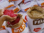 Parceria entre Governo de Alagoas e Prefeitura de Penedo atende agricultura familiar