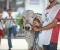 Expo Bacia Leiteira 2025 tem data e programação confirmadas