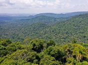Lula cobra ajuda de países por preservação ambiental