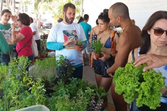 Semarh pretende continuar incentivando o consumo de alimentos saudáveis, valorizando ainda o trabalho do agricultor que produz frutas, legumes, verduras e folhosos sem agredir o meio ambiente