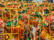 Segunda noite de carnaval em SP começa com desfile da Águia de Ouro