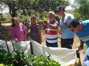 Projeto Horta no Quintal “floresce” no Carrasco e Pau d’Arco