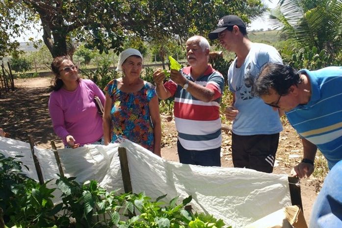 Projeto Horta no Quintal “floresce” no Carrasco e Pau d’Arco