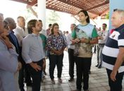 Comissão da Câmara Federal recomenda modelo da Rede Acolhe para todos os estados brasileiros