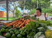 Penedo recebe 2ª etapa do Circuito Regional de Feiras da Agricultura Familiar e Economia Solidária