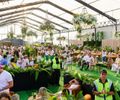Lixo, plástico e desperdício na virada de ano: eventos repensam práticas para reduzir o impacto ambiental e apostam em ações eco-friendly