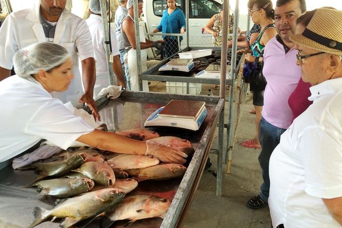 Feira do Peixe Vivo será realizada em Fernão Velho
