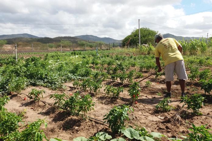 Secretaria de Agricultura informa sobre prorrogação do prazo para inscrição no Garantia-Safra 2024/2025