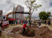 Para o 'Projeto Baobá' o plantio da árvore sagrada é um ato político de resistência negra