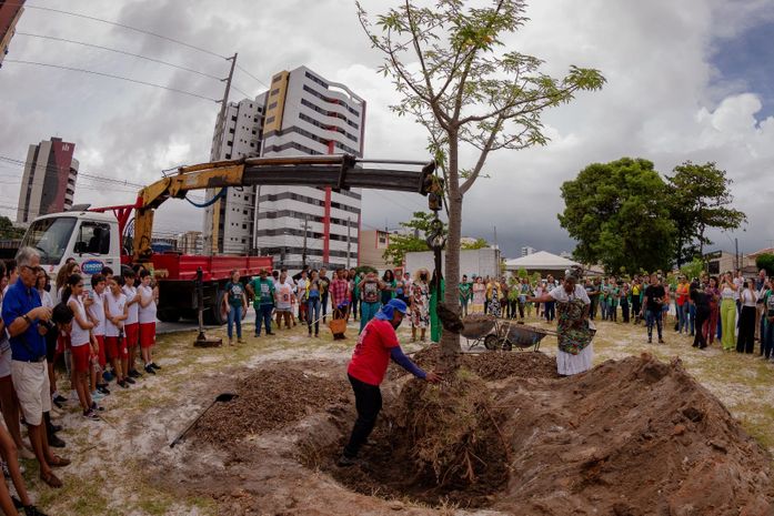 Para o 'Projeto Baobá' o plantio da árvore sagrada é um ato político de resistência negra