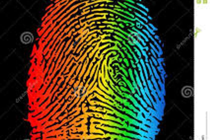 Em 2014, Alagoas perdeu o único Ambulatório Transexualizador - diz vereadora.