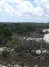 Justiça Federal estipula prazos para definição de estudos ambientais no Litoral Sul de Alagoas
