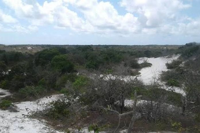 Justiça Federal estipula prazos para definição de estudos ambientais no Litoral Sul de Alagoas