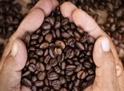 Ministério classifica 16 marcas de café como impróprias para consumo no Brasil; veja lista