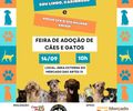 Mercado das Artes 31 realiza primeira edição da Feira de adoção de cães e gatos