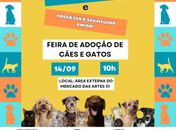 Mercado das Artes 31 realiza primeira edição da Feira de adoção de cães e gatos
