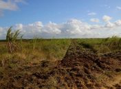 Prefeitura de Pilar vai entregar 2000 metros quadrados de terra para agricultores