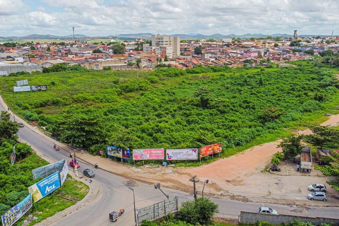 Criação do Horto Florestal trará mais qualidade de vida para a população de Arapiraca