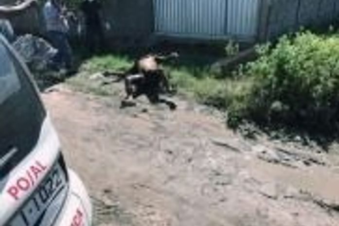 Corpo encontrado em terreno em Marechal Deodoro