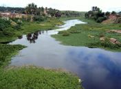 Projeto realiza o plantio de mudas nativas em áreas degradadas pela enxurrada de 2010 em Atalaia