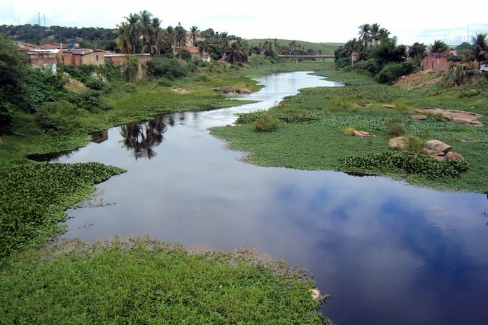 Projeto realiza o plantio de mudas nativas em áreas degradadas pela enxurrada de 2010 em Atalaia