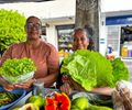 Feiras fortalecem agricultura familiar e celebram protagonismo feminino no campo