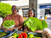 Feiras fortalecem agricultura familiar e celebram protagonismo feminino no campo