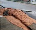 Moradores registram buraco e erupção de lama em rua do Bom Parto, em Maceió