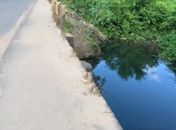 Ponte sobre o Riacho Piauí está com sérios problemas estruturais em Arapiraca 