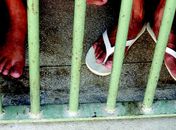 Polícia recaptura 517 presos que fugiram de três presídios paulistas