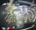 PM apreende 21 armas e mais de 15 kg de drogas em uma semana