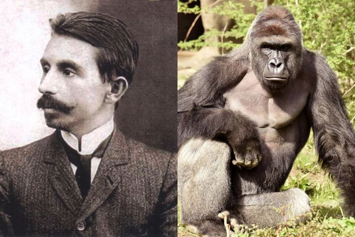 Euclides da Cunha e o gorila