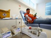 Doação de sangue no Hemoal