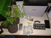 Morador foi preso após polícia encontrar maconha e animal silvestre em sua casa