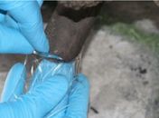 Perícia divulga laudo sobre residência que “explodiu”, deixando uma pessoa morta