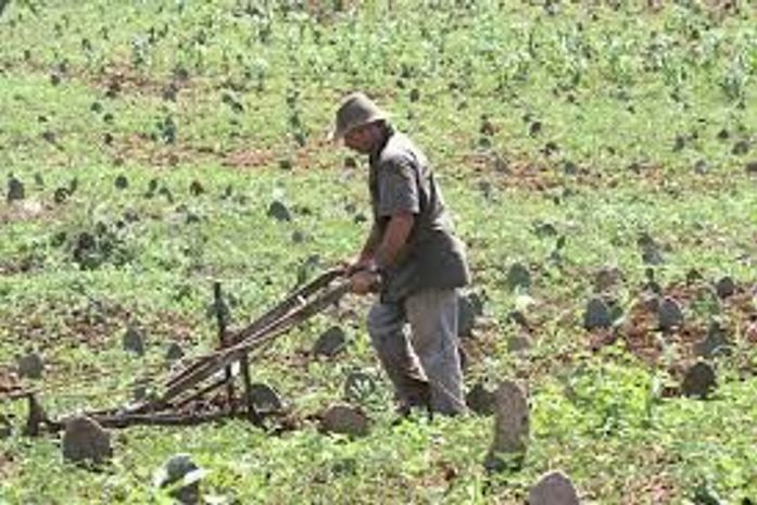 Câmara aprova auxílio emergencial para agricultor familiar na pandemia