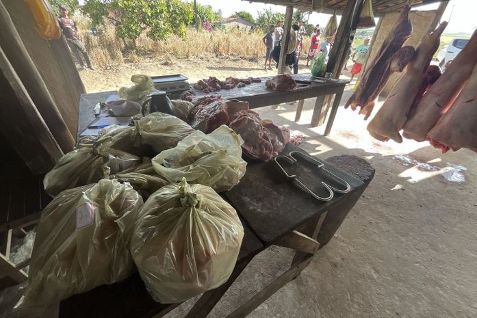 Abatedouro irregular de suínos é flagrado por fiscalização no Agreste alagoano