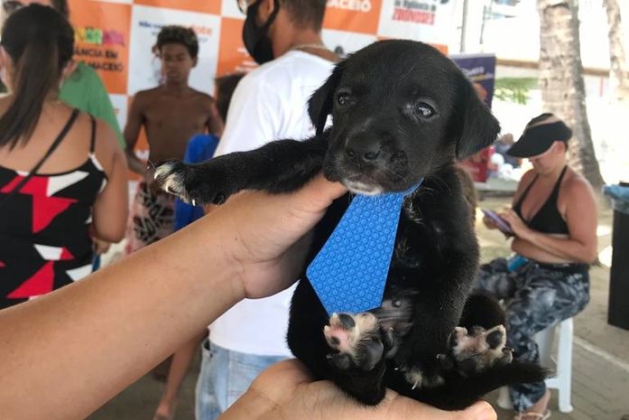 A Feira de Adoção da Prefeitura conta com adesão da sociedade e apoio de projetos de proteção à causa animal