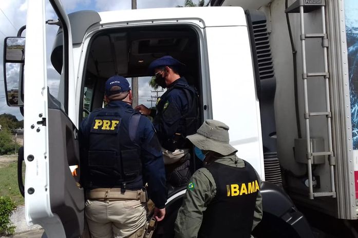 PRF em Alagoas realiza ação integrada com Ibama