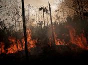 Desmatamento na Amazônia em junho é o maior em 5 anos