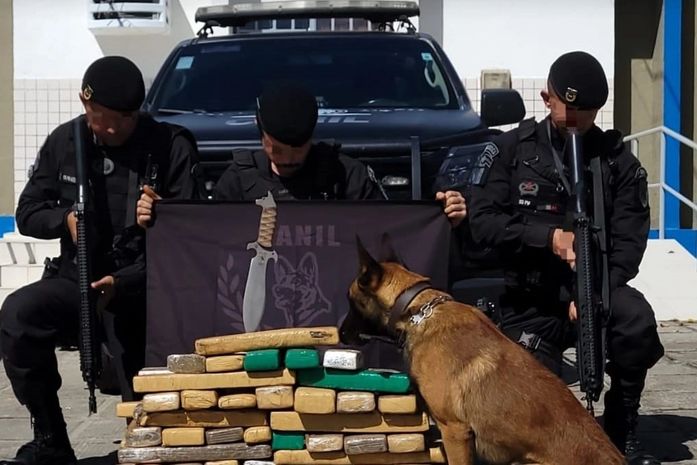 Jovem de 18 anos é preso com 60kg de maconha dentro de ônibus no Agreste de Alagoas