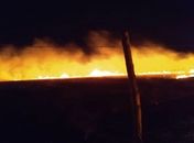 Vegetação é foco de incendio as margens da Al-220 em Limoeiro de Anadia