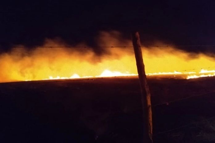 Vegetação é foco de incendio as margens da Al-220 em Limoeiro de Anadia