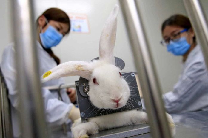 Avon anuncia fim dos testes em animais em empresas da marca no mundo