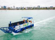 Alurb irá intensificar trabalho do Ecoboat nas piscinas naturais de Pajuçara