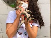 STF: “É absurdo falar de abate quando buscamos proteção animal”, diz Teca Nelma