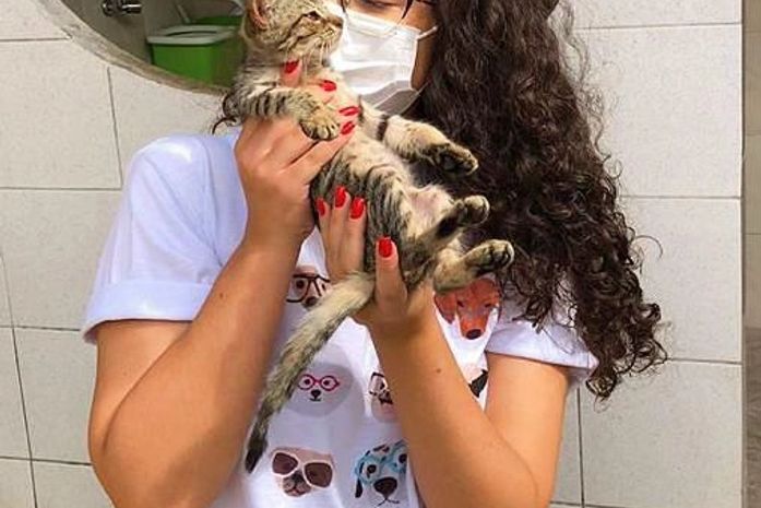 STF: “É absurdo falar de abate quando buscamos proteção animal”, diz Teca Nelma