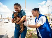 Saúde de Maceió imuniza mais de 30 mil animais no primeiro dia de vacinação antirrábica