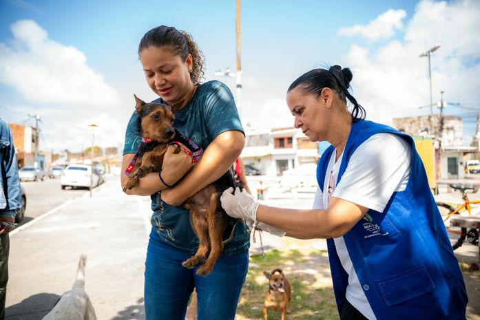 Saúde de Maceió imuniza mais de 30 mil animais no primeiro dia de vacinação antirrábica